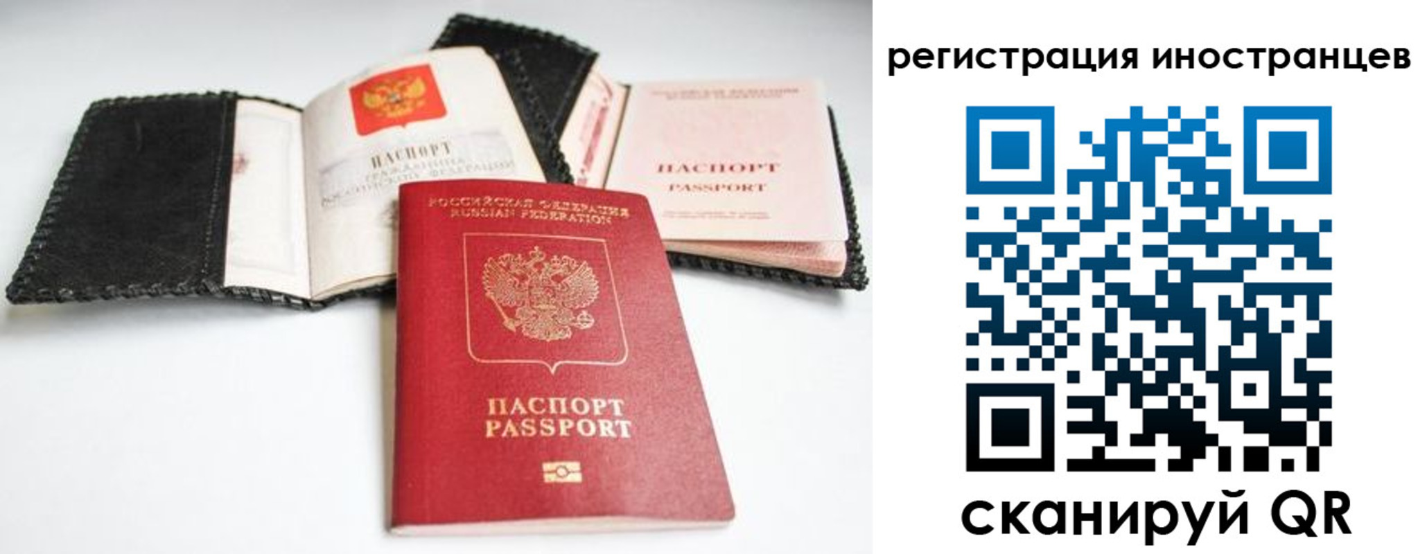 прописка гарантия в Черногорске